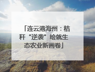 连云港海州：秸秆“逆袭”绘就生态农业新画卷