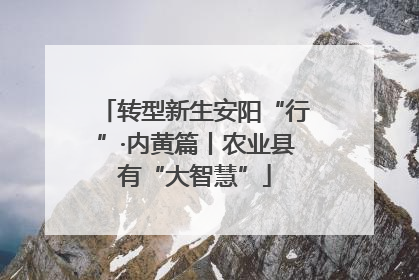 转型新生安阳“行”·内黄篇丨农业县有“大智慧”