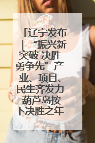 辽宁发布｜“振兴新突破 决胜勇争先”产业、项目、民生齐发力 葫芦岛按下决胜之年“加速键”
