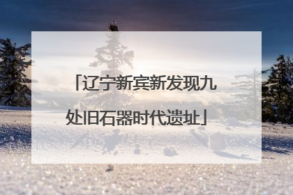辽宁新宾新发现九处旧石器时代遗址