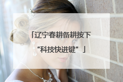 辽宁春耕备耕按下“科技快进键”