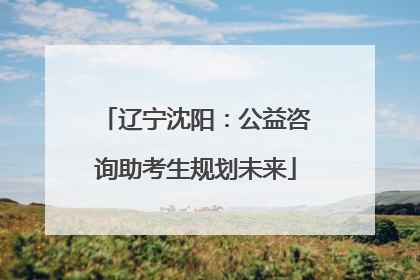 辽宁沈阳：公益咨询助考生规划未来