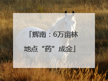 辉南：6万亩林地点“药”成金