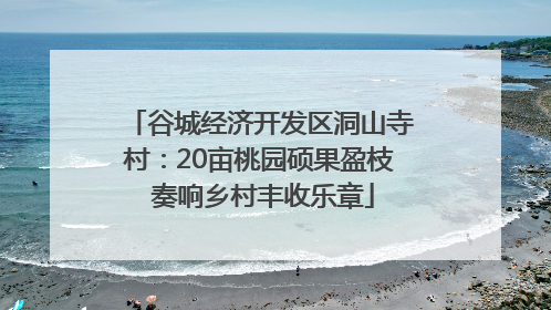 谷城经济开发区洞山寺村：20亩桃园硕果盈枝 奏响乡村丰收乐章
