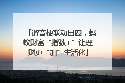 谐音梗联动出圈，蚂蚁财富“指数+”让理财更“加”生活化