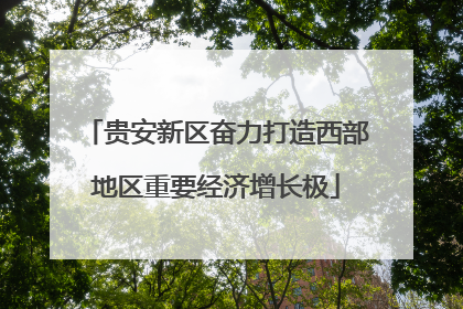 贵安新区奋力打造西部地区重要经济增长极