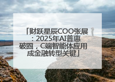 财跃星辰COO张展：2025年AI普惠破圈，C端智能体应用成金融转型关键