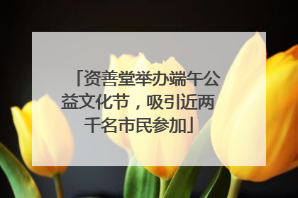 资善堂举办端午公益文化节，吸引近两千名市民参加