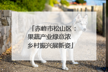 赤峰市松山区：果蔬产业绿意浓 乡村振兴展新姿