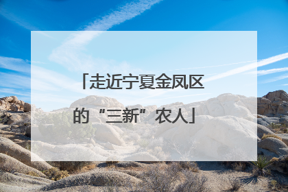 走近宁夏金凤区的“三新”农人