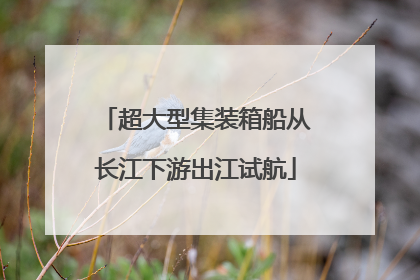 超大型集装箱船从长江下游出江试航