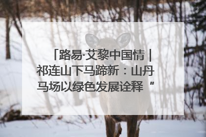 路易·艾黎中国情｜祁连山下马蹄新：山丹马场以绿色发展诠释“两山”理论实践
