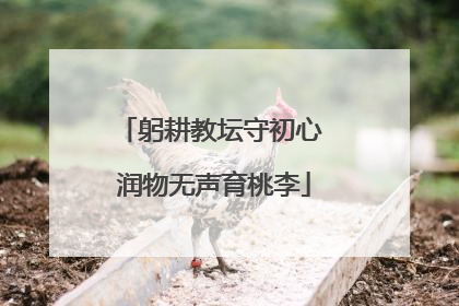 躬耕教坛守初心 润物无声育桃李