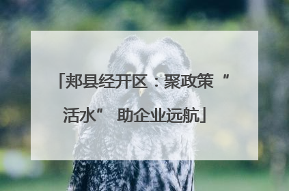 郏县经开区：聚政策“活水” 助企业远航