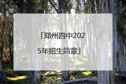 郑州四中2025年招生简章