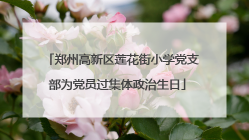 郑州高新区莲花街小学党支部为党员过集体政治生日