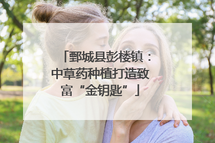 鄄城县彭楼镇：中草药种植打造致富“金钥匙”