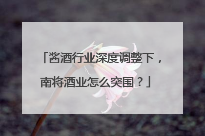 酱酒行业深度调整下，南将酒业怎么突围？