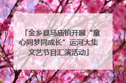 金乡县马庙镇开展“童心同梦同成长”运河大集文艺节目汇演活动