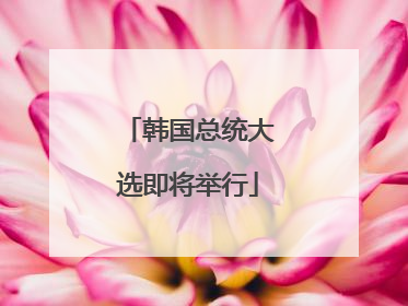 韩国总统大选即将举行