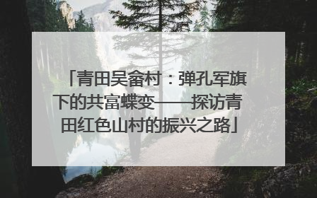 青田吴畲村：弹孔军旗下的共富蝶变——探访青田红色山村的振兴之路