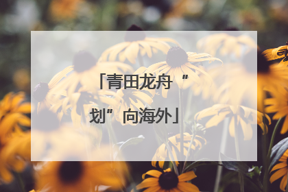 青田龙舟“划”向海外