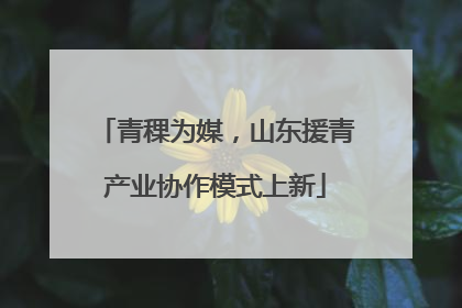青稞为媒，山东援青产业协作模式上新