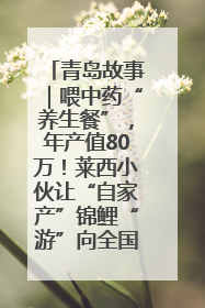 青岛故事｜喂中药“养生餐”，年产值80万！莱西小伙让“自家产”锦鲤“游”向全国