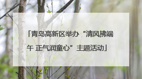 青岛高新区举办“清风拂端午 正气润童心”主题活动