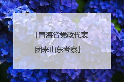 青海省党政代表团来山东考察