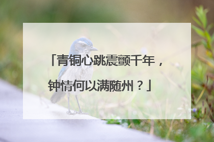 青铜心跳震颤千年，钟情何以满随州？