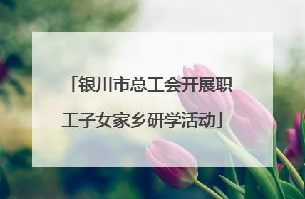 银川市总工会开展职工子女家乡研学活动
