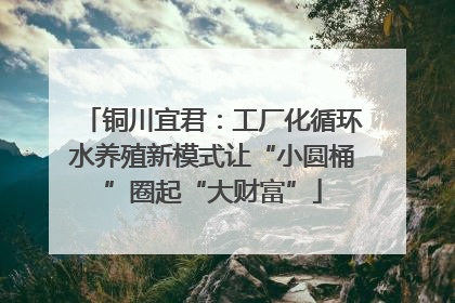 铜川宜君：工厂化循环水养殖新模式让“小圆桶”圈起“大财富”