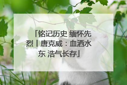 铭记历史 缅怀先烈丨唐克威：血洒水东 浩气长存