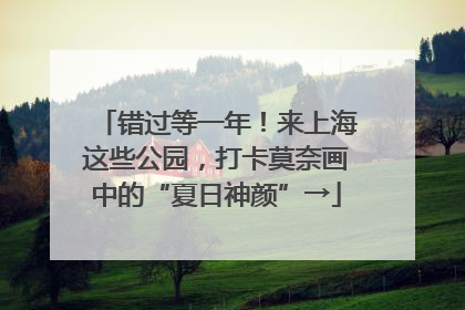 错过等一年！来上海这些公园，打卡莫奈画中的“夏日神颜”→