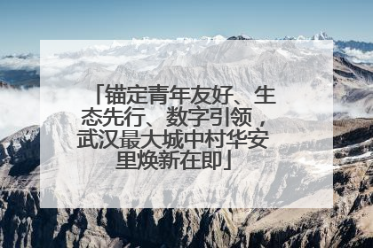锚定青年友好、生态先行、数字引领，武汉最大城中村华安里焕新在即