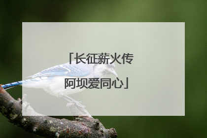 长征薪火传 阿坝爱同心