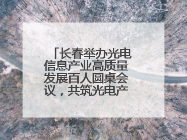 长春举办光电信息产业高质量发展百人圆桌会议，共筑光电产业创新生态
