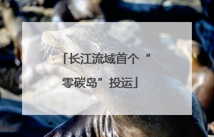 长江流域首个“零碳岛”投运