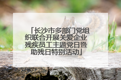 长沙市多部门党组织联合开展关爱企业残疾员工主题党日暨助残日特别活动