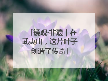 镜观·非遗｜在武夷山，这片叶子创造了传奇