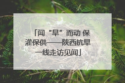 闻“旱”而动 保灌保供——陕西抗旱一线走访见闻