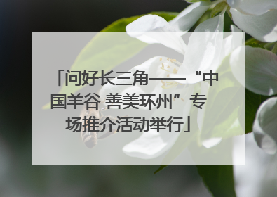 问好长三角——“中国羊谷 善美环州”专场推介活动举行
