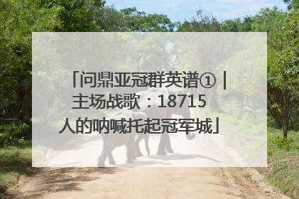 问鼎亚冠群英谱①｜主场战歌：18715人的呐喊托起冠军城