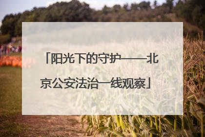 阳光下的守护——北京公安法治一线观察
