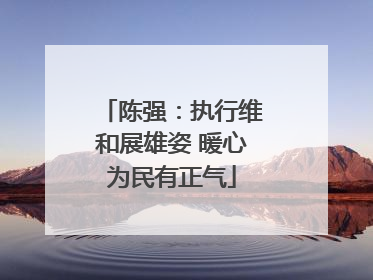陈强：执行维和展雄姿 暖心为民有正气