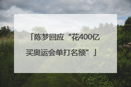 陈梦回应“花400亿买奥运会单打名额”