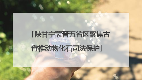 陕甘宁蒙晋五省区聚焦古脊椎动物化石司法保护