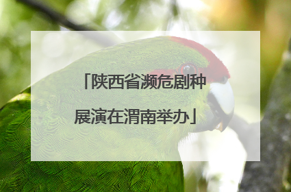陕西省濒危剧种展演在渭南举办