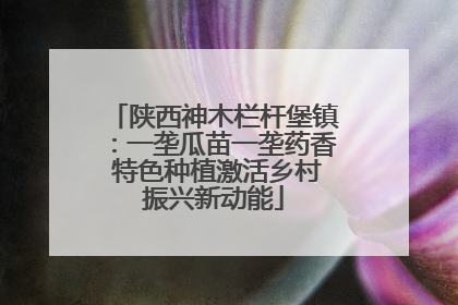 陕西神木栏杆堡镇：一垄瓜苗一垄药香 特色种植激活乡村振兴新动能